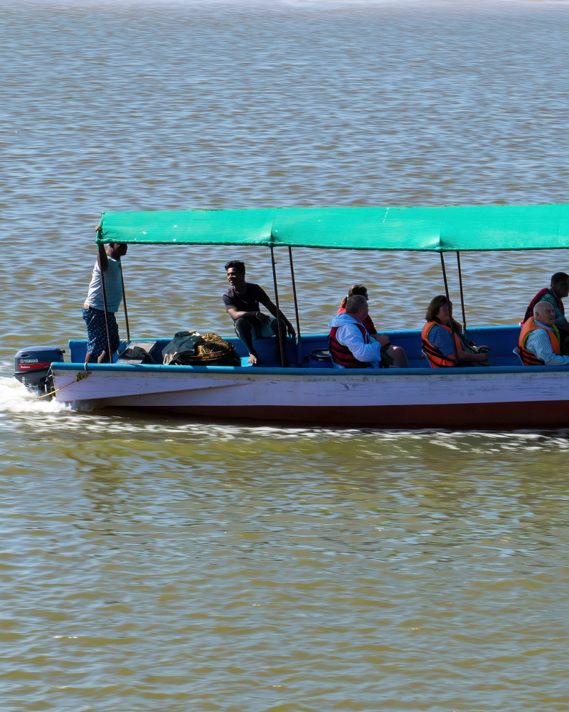Boat tour on Chapora River