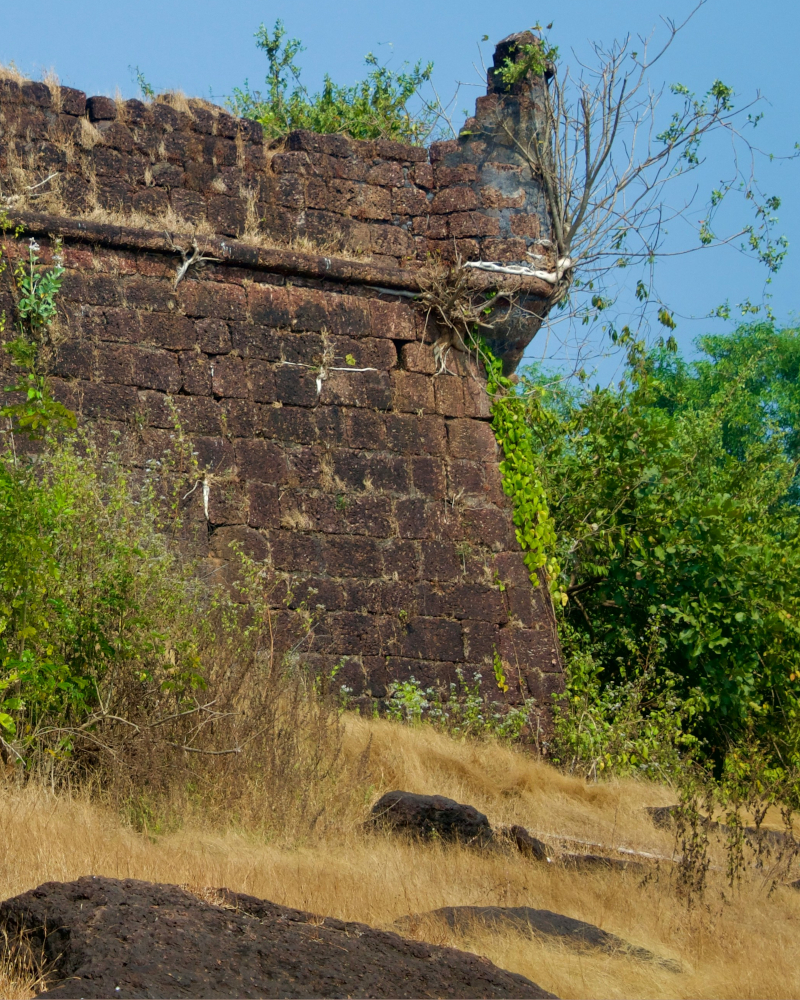 Chapora Fort