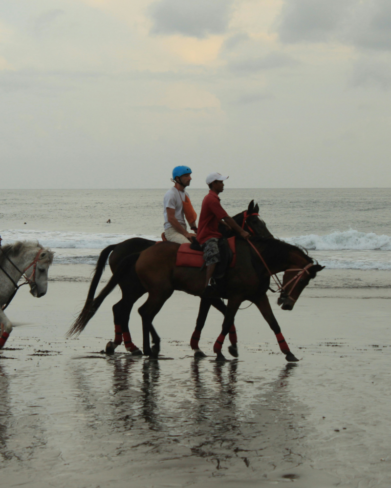 Horseback riding at Morjim